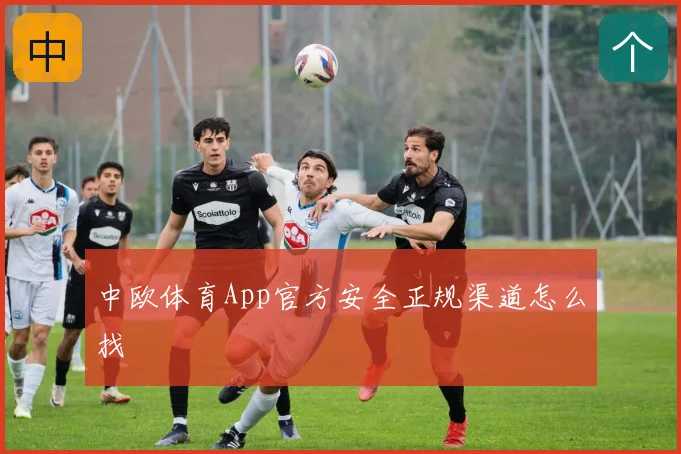 中欧体育App官方安全正规渠道怎么找