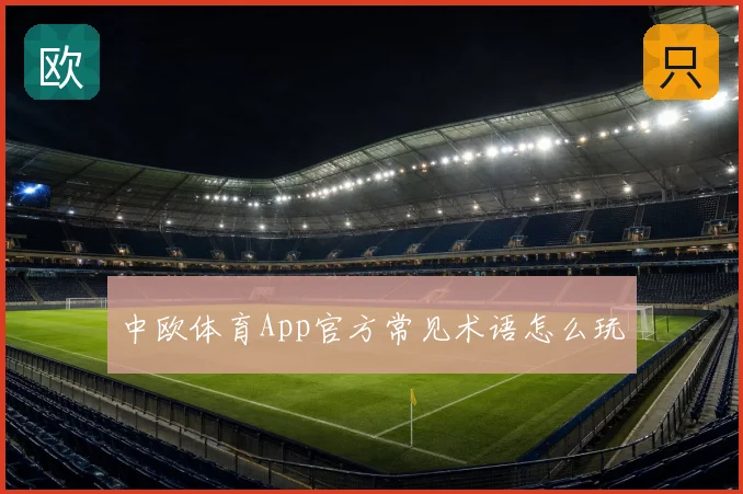 中欧体育App官方常见术语怎么玩